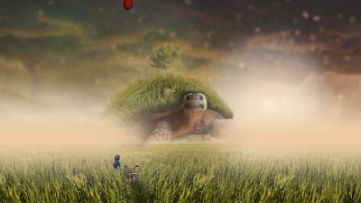 Turtle photoshop child bicycle field grass 4k wallpaper