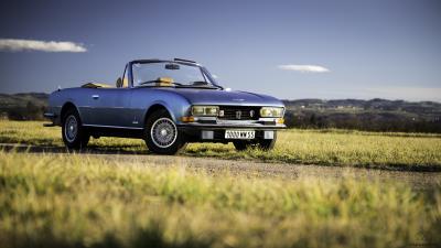 Peugeot 504 v6 convertible field 4k wallpaper