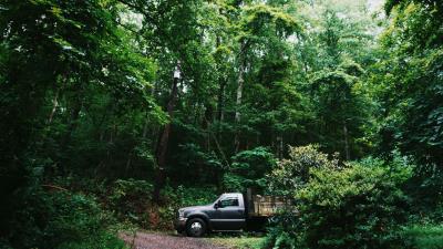 Suv forest trees 4k wallpaper