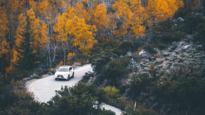 Car forest road 4k wallpaper