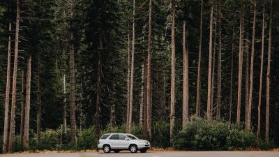 Car trees side view 4k wallpaper