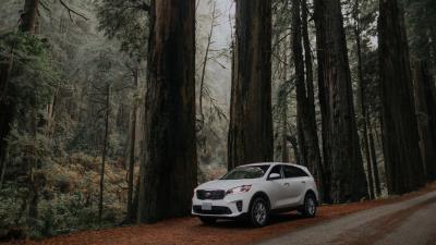 Car white suv 4k wallpaper