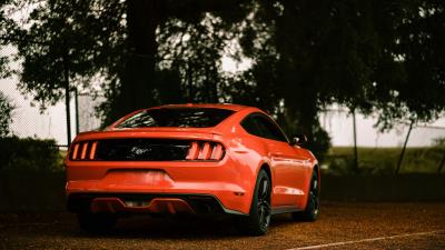 Ford mustang ford car 4k wallpaper