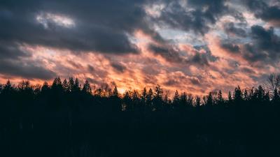 Clouds trees sky sunset 4k wallpaper