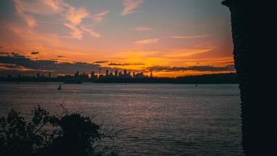 Coast palm twilight 4k wallpaper