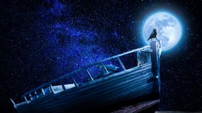 Crow starry sky boat 4k wallpaper
