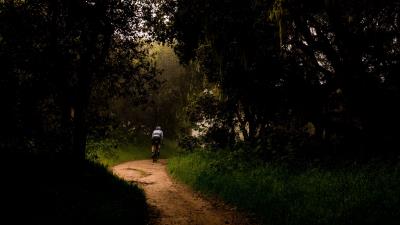 Cyclist bike trees 4k wallpaper