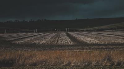 Field grass evening 4k wallpaper