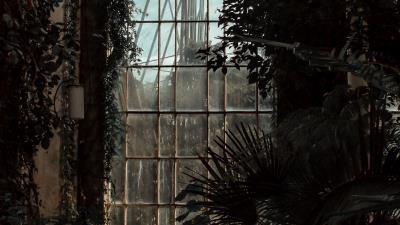 Greenhouse window dark 4k wallpaper