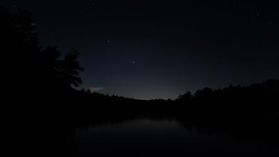 Lake branches silhouette 4k wallpaper