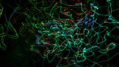 Lines neon confusion 4k wallpaper