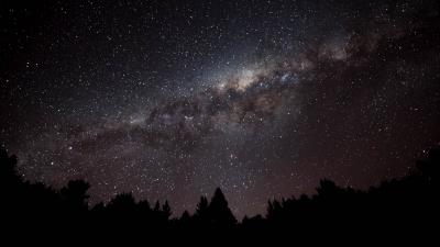 Nebula starry sky spruce 4k wallpaper