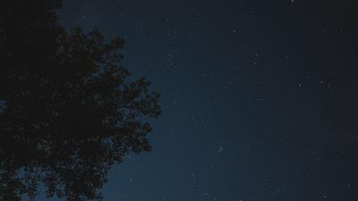 Night tree starry sky image 4k wallpaper