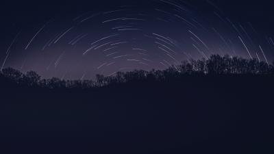 Night trees stars 4k wallpaper