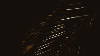 Palm leaf plant 4k wallpaper