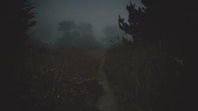 Path fog dark 4k wallpaper