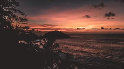 Sea palm trees rock 4k wallpaper