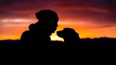 Silhouettes person dog 4k wallpaper
