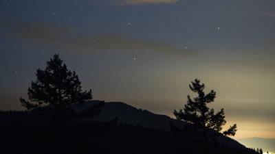 Spruce silhouette stars 4k wallpaper