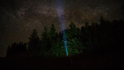 Starry sky forest flashlight 4k wallpaper