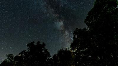 Starry sky milky way trees image 4k wallpaper