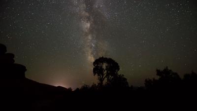 Starry sky milky way trees 4k wallpaper