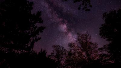 Starry sky stars sky night trees 4k wallpaper