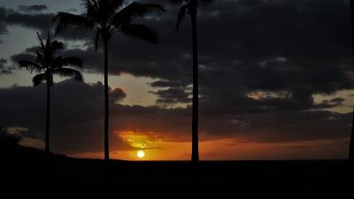 Sunset palm sky 4k wallpaper