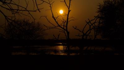 Sunset trees water 4k wallpaper