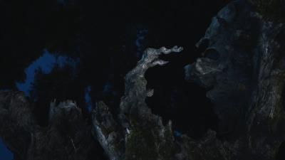 Tree driftwood moss 4k wallpaper