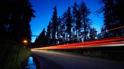 Trees road long exposure 4k wallpaper