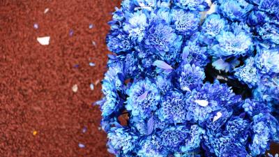 Bouquet flowers blue 4k wallpaper