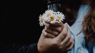 Chamomile flowers hands 4k wallpaper