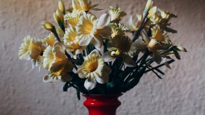 Daffodils bouquet vase 4k wallpaper
