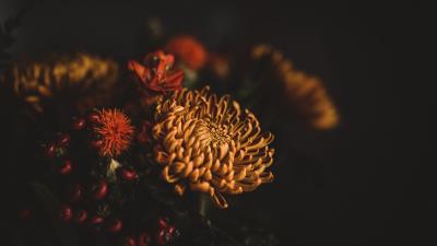 Flowers bouquet composition image 4k wallpaper