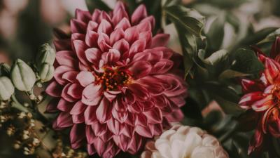 Flowers bouquet composition pic 4k wallpaper