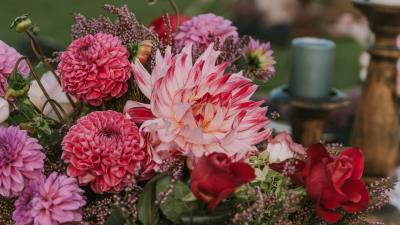 Flowers bouquet composition picture 4k wallpaper