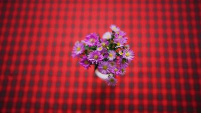 Flowers bouquet purple 4k wallpaper