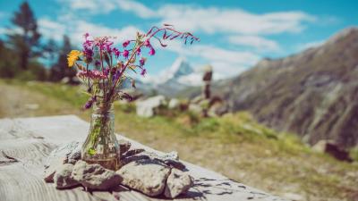 Flowers bouquet vase image 4k wallpaper