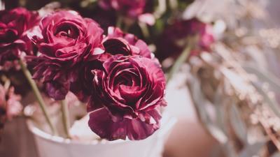 Flowers buds blur 4k wallpaper