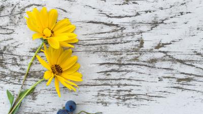 Flowers grapes surface 4k wallpaper