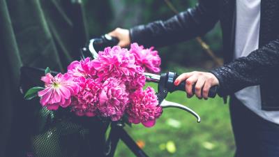 Flowers peonies bicycle hand 4k wallpaper