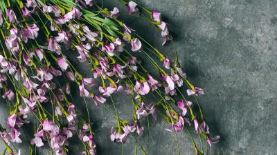 Flowers purple bouquet image 4k wallpaper