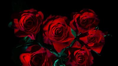 Flowers roses bouquet 4k wallpaper