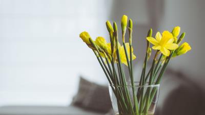 Flowers vase bouquet 4k wallpaper