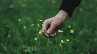 Hand grass touch 4k wallpaper