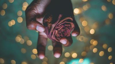 Hand rose glare 4k wallpaper