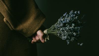 Lavender bouquet hand 4k wallpaper