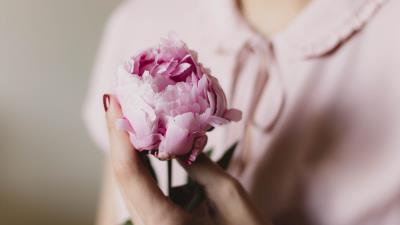 Peony flower hand tenderness 4k wallpaper