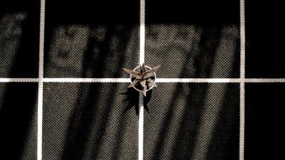 Plant pot decorative 4k wallpaper